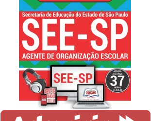 Curso Preparatório Online Agente de Organização Escolar do Concurso da SEE / SP – 2018