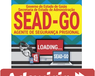 Curso Online Agente de Segurança Prisional – Concurso Público SEAD / GO – 2019