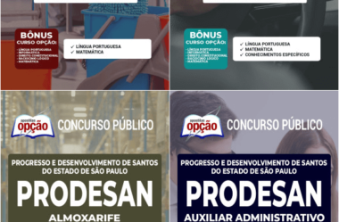 Apostilas Vários Empregos do Processo Seletivo da PRODESAN / SP 2022