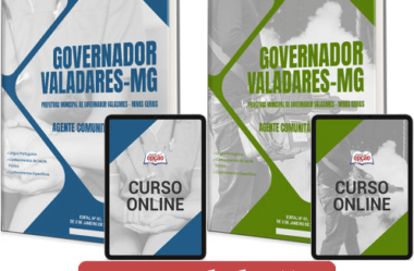Apostilas Agente Comunitário Saúde e Endemias Processo Seletivo Governador Valadares / MG 2024