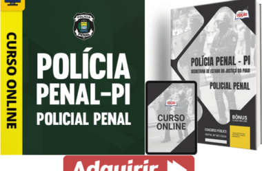 Apostila e Curso Policial Penal Concurso SEJUS / PI 2024